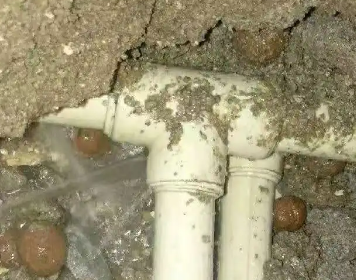 端州测漏水多少钱