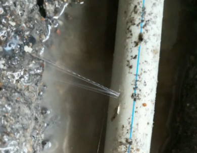 端州测漏水哪家好