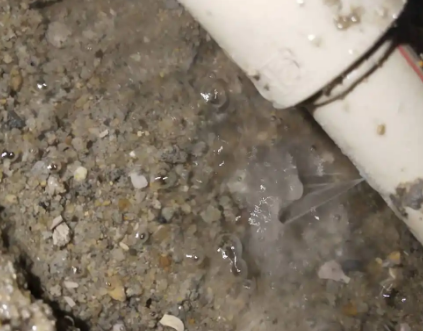 端州测漏水电话号码