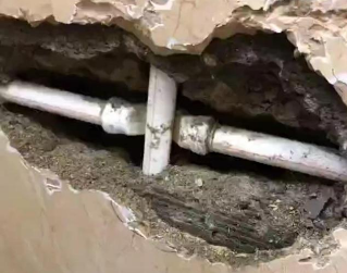 端州测漏水哪家好