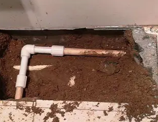 端州测漏水哪家好