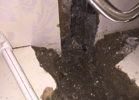 端州卫生间测漏水哪家好