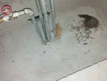 端州卫生间测漏水价格明细