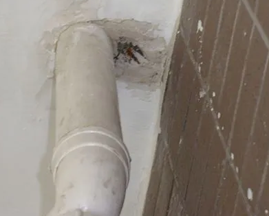 端州漏水检测哪家好